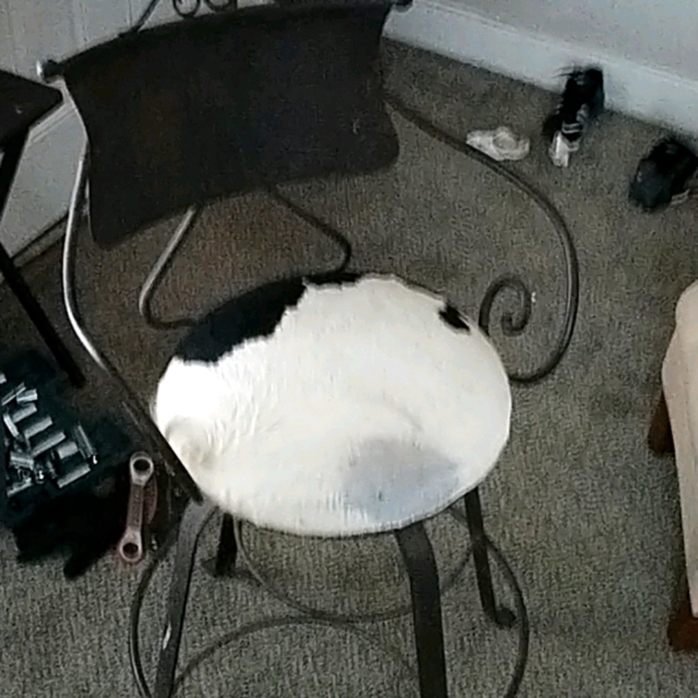 Rod iron rawhide bar stool